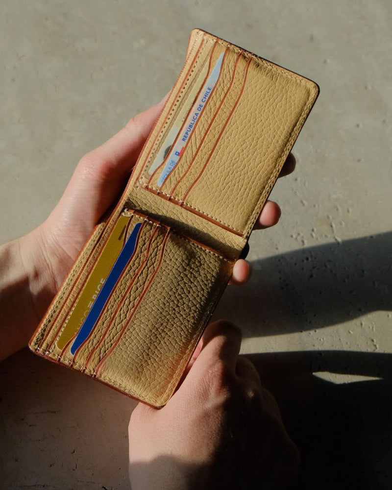 Billetera Visa Inglés