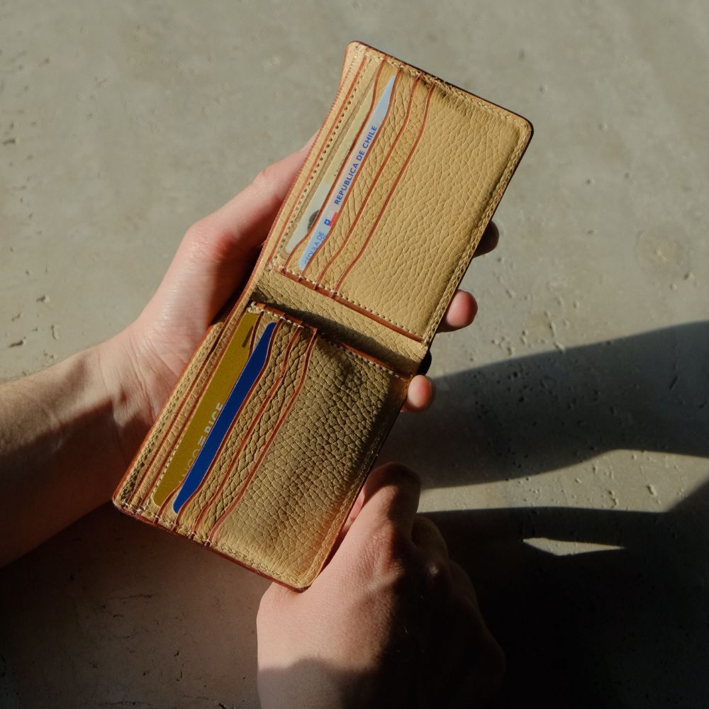 Billetera Visa